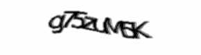 Security check image, please type the characters shown